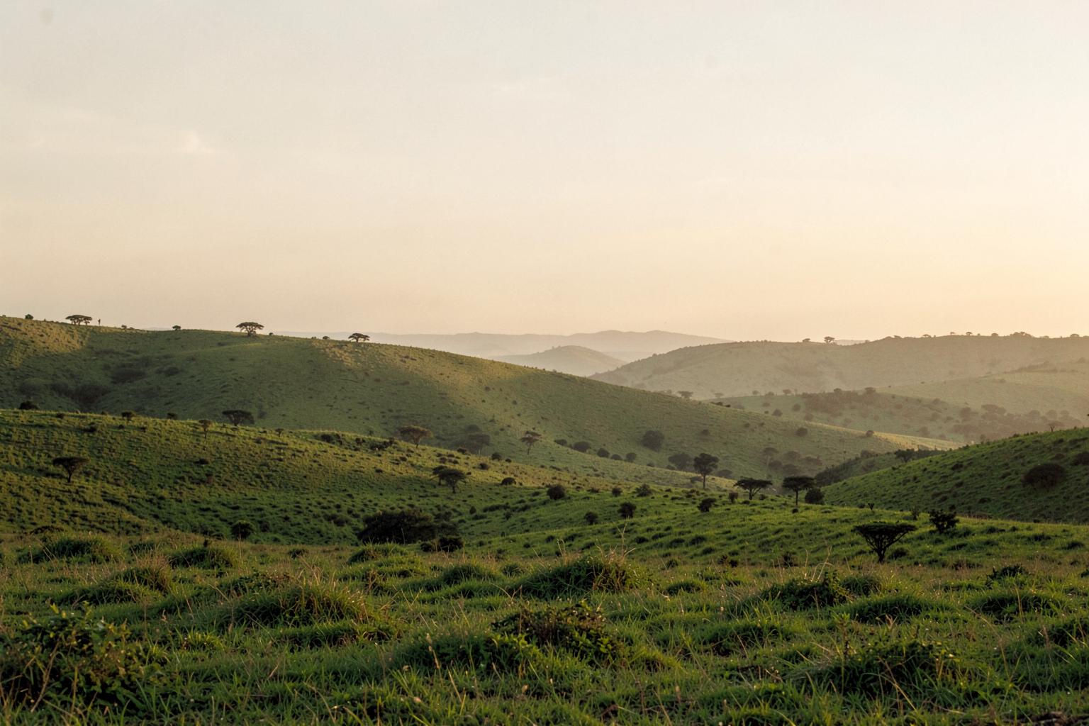 Rolling green Ghanaian hills at golden hour